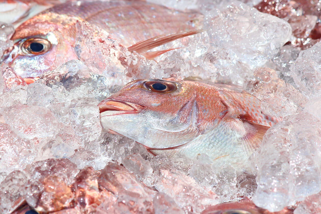 旬な食材と鮮魚から成る
『100種類以上の豊富なメニュー』